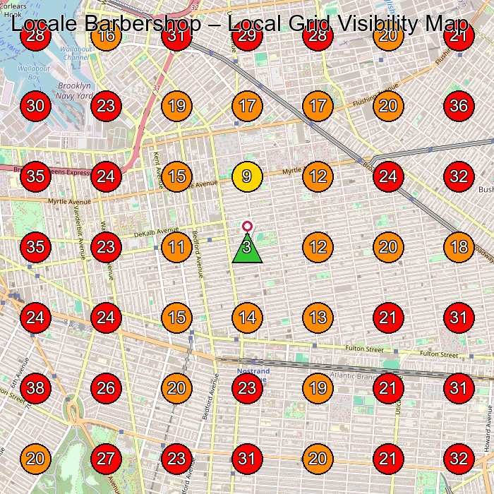 Locale Barbershop GeoGrid visibility map for Barber Shop in Brooklyn